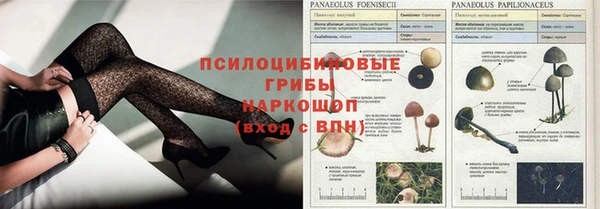 прущие грибы Нефтегорск