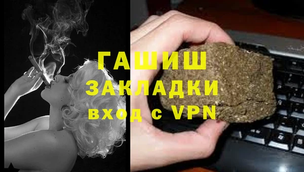 прущие грибы Нефтегорск