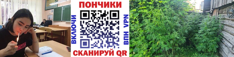 Конопля White Widow  даркнет сайт  Тбилисская 